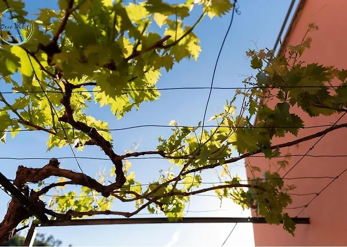 Ca Du Muccin Apartman *